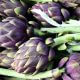 Artichoke